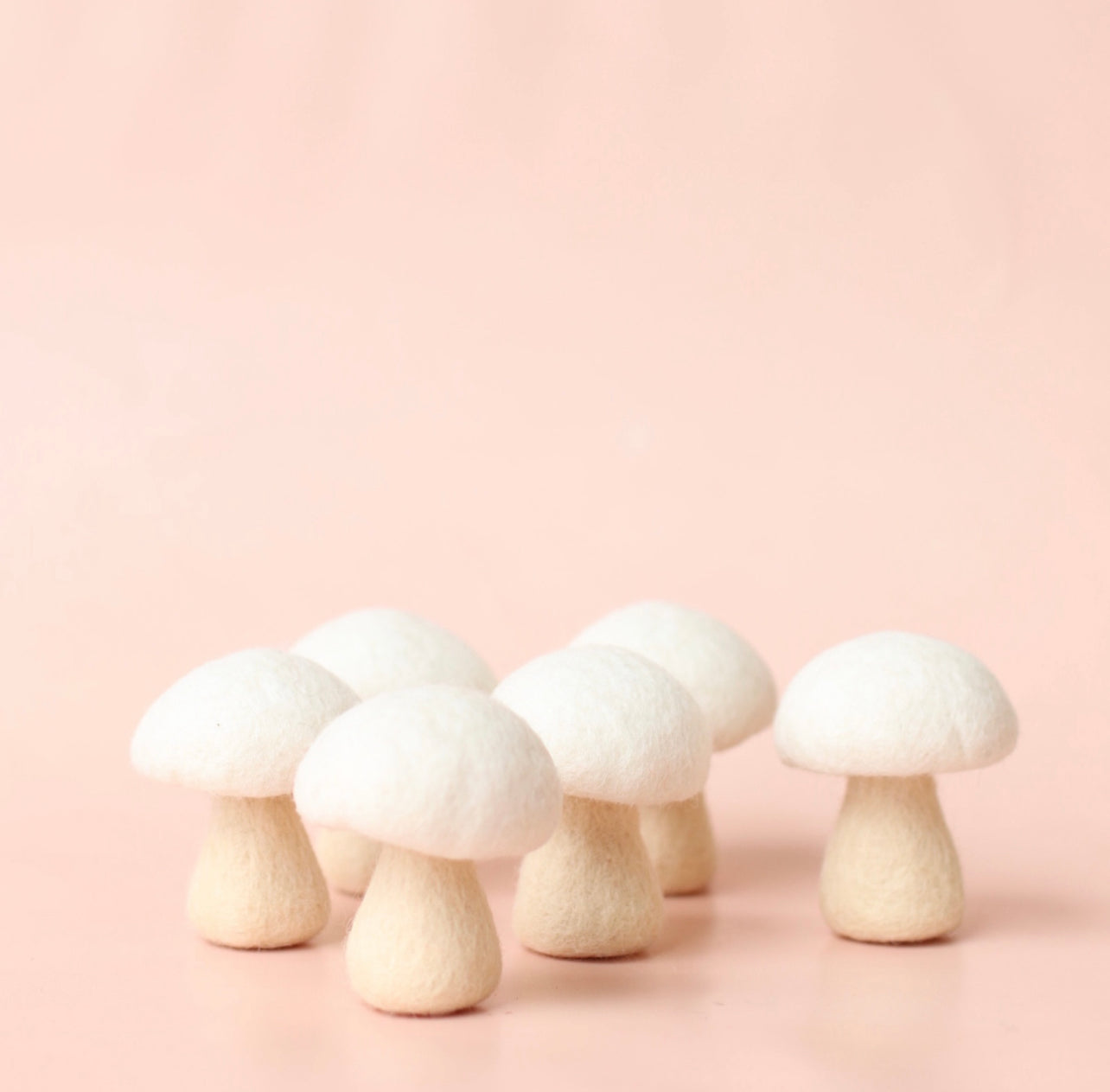 Button Mushroom Set