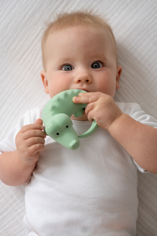 Organic Rubber 3 in 1-Crocodile