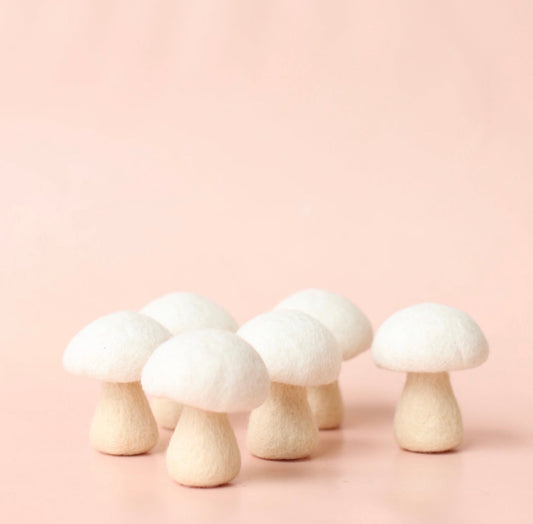 Button Mushroom Set